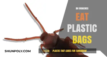 Can Roaches Consume Plastic Bags? Unraveling the Myth and Facts