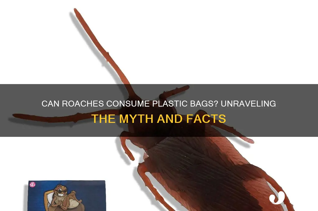 do roaches eat plastic bags