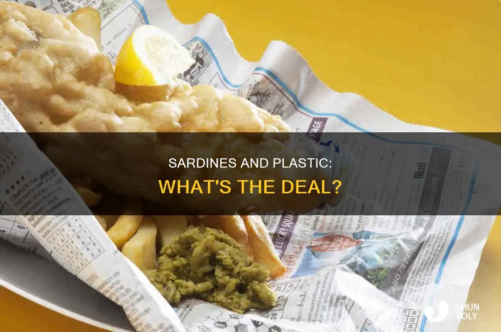 do sardines contain plastic
