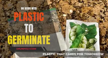 Germination: Seeds and the Plastic Myth Explained