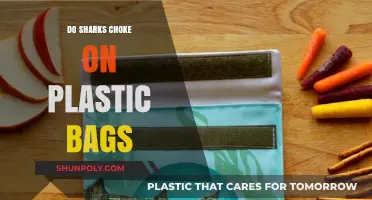 Sharks and Plastic Bags: Unraveling the Choking Hazard Mystery