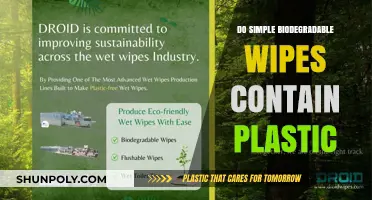 Are Biodegradable Wipes Truly Plastic-Free?