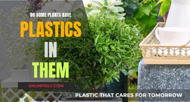 Plants with Plastic: Nature's Surprising Combination