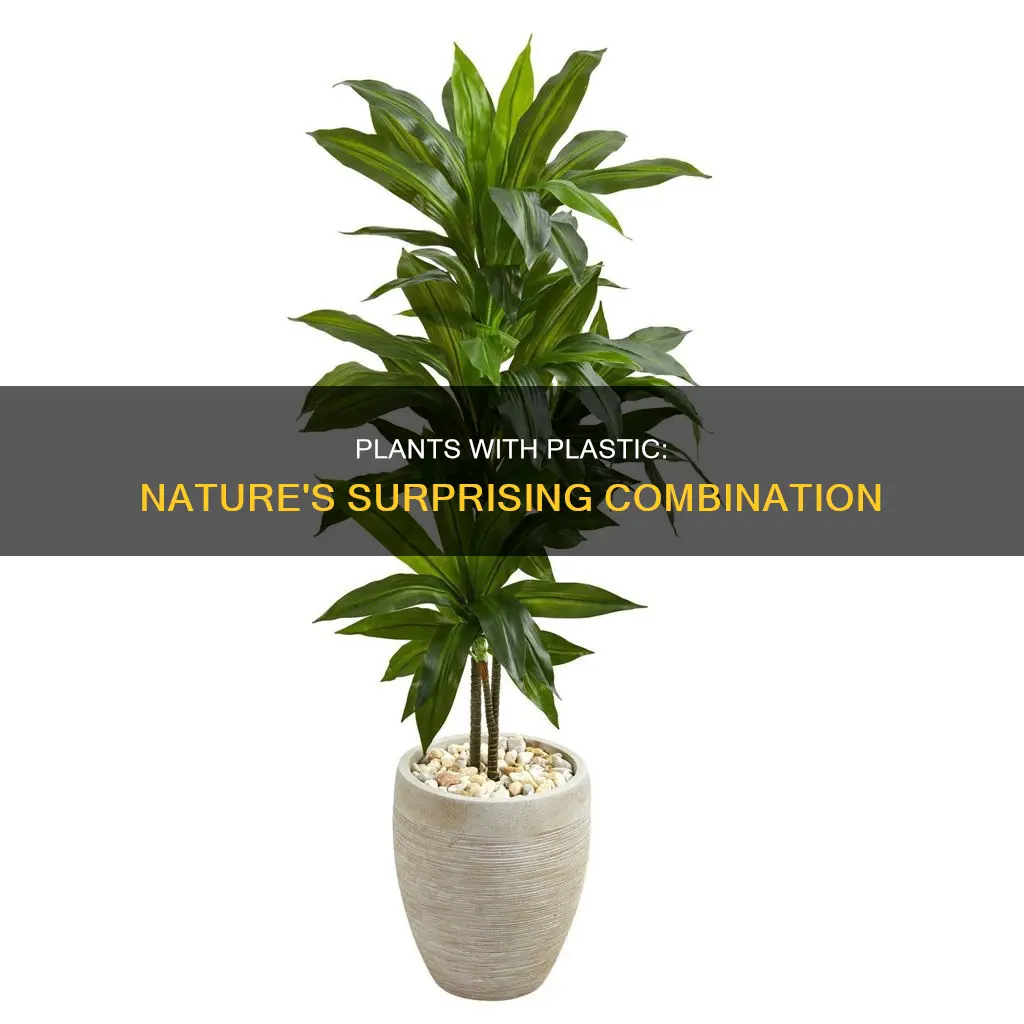 do some plants have plastics in them