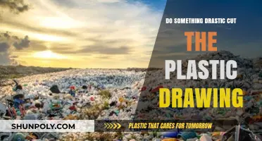 Slash Plastic Waste: Bold Actions for a Greener Tomorrow