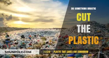 Slash Plastic Waste: Bold Actions for a Greener Tomorrow