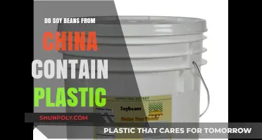 Plastic in Soybeans: China's Food Safety Concerns