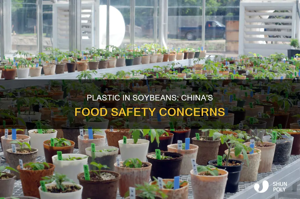 do soy beans from china contain plastic