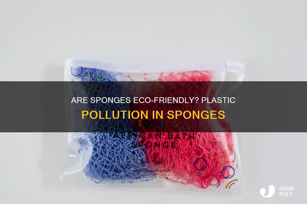 do sponges contain plastic