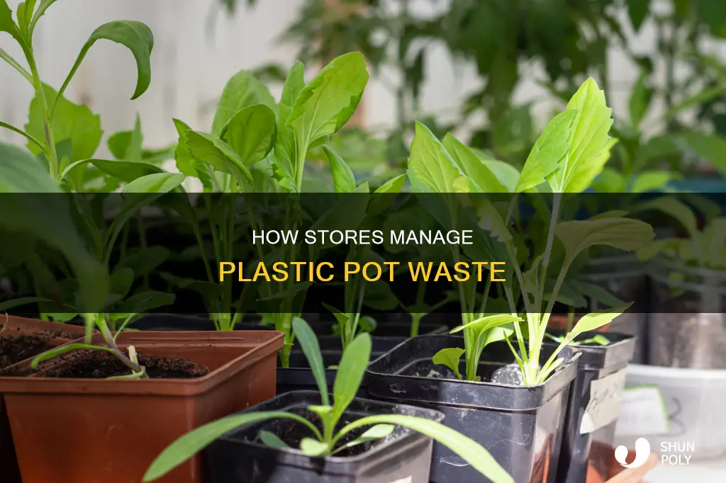 do stores throw away plastic pots