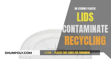 Straws, Plastic Lids: Recycling Contamination Risks?