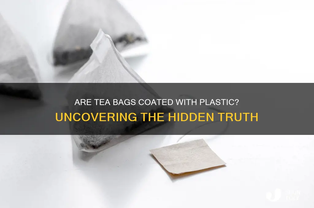 do tea bags have plastic sprayed on them