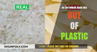 Debunking the Myth: Is Plastic Rice Made in China?