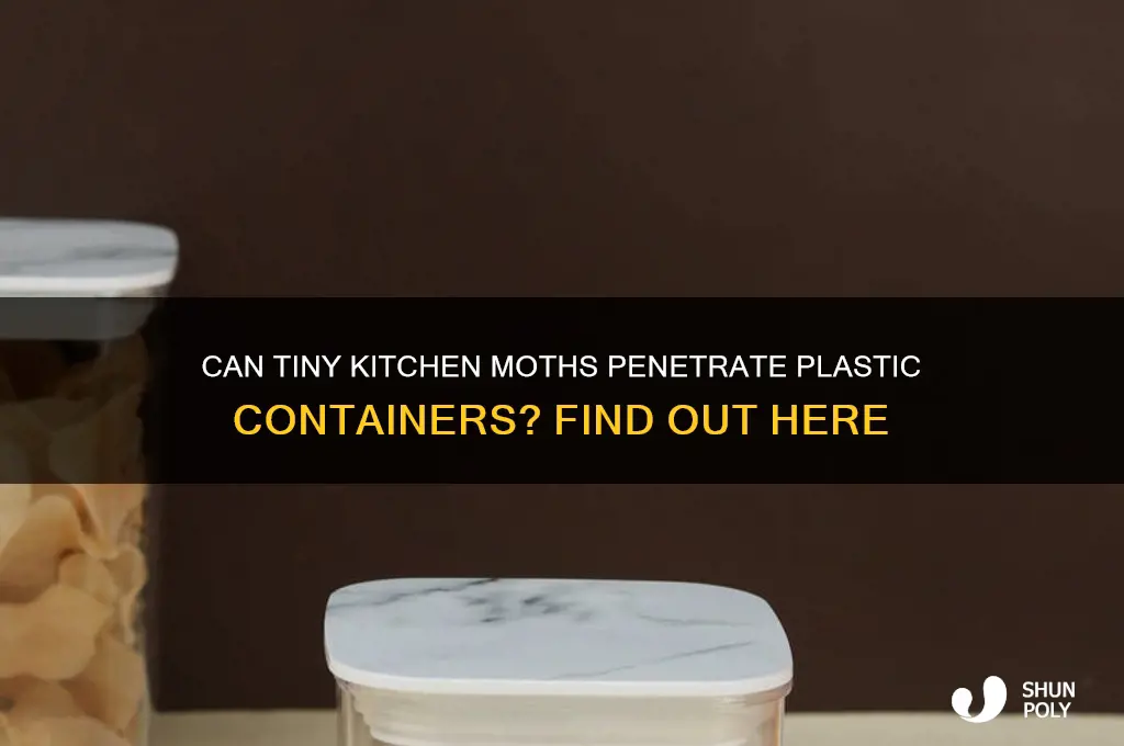 do the tiny moths in kitchen cabinets get through plastic