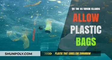 Are Plastic Bags Permitted in the US Virgin Islands?