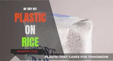 Plastic Rice: Is It Real?