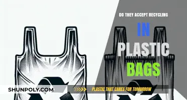 Can You Recycle in Plastic Bags? The Truth Revealed