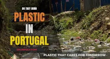 Plastic Burning in Portugal: Is It Really Happening?