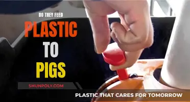 The Dark Truth: Pigs Fed Plastic