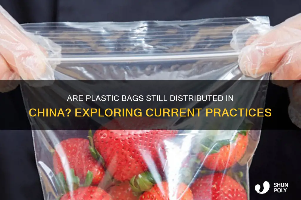 do they give out plastic bags in china