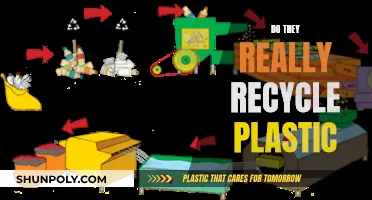 Unveiling the Truth: Are We Really Recycling Plastic?