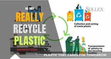 The Plastic Recycling Myth: Is It Really Being Recycled?