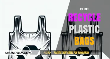 Can Plastic Bags Be Recycled? Unraveling the Truth and Best Practices