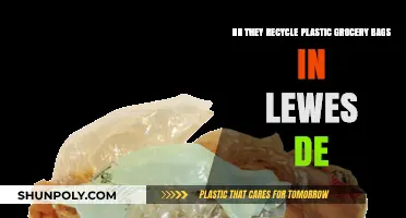 Recycling Plastic Grocery Bags in Lewes, DE: What You Need to Know
