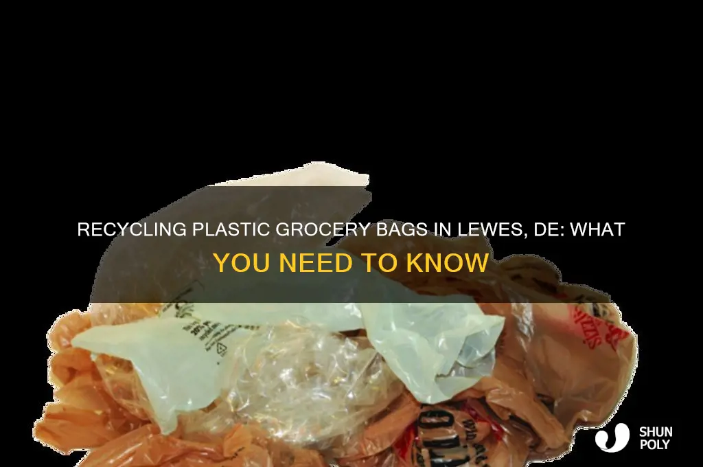 do they recycle plastic grocery bags in lewes de