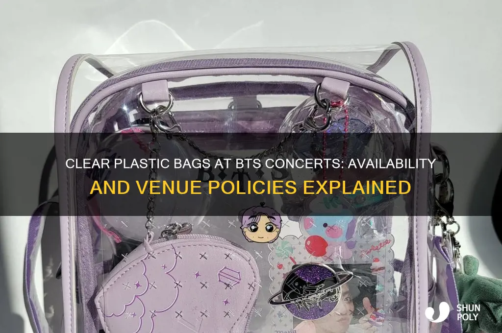 do they sell clear plastic bags at the bts concert