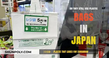 Plastic Bags in Japan: Current Usage and Sustainable Alternatives