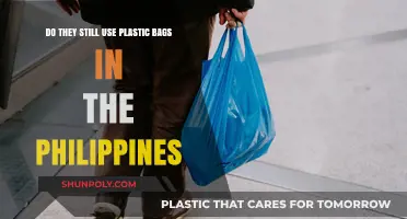 Plastic Bags in the Philippines: Current Usage and Environmental Impact
