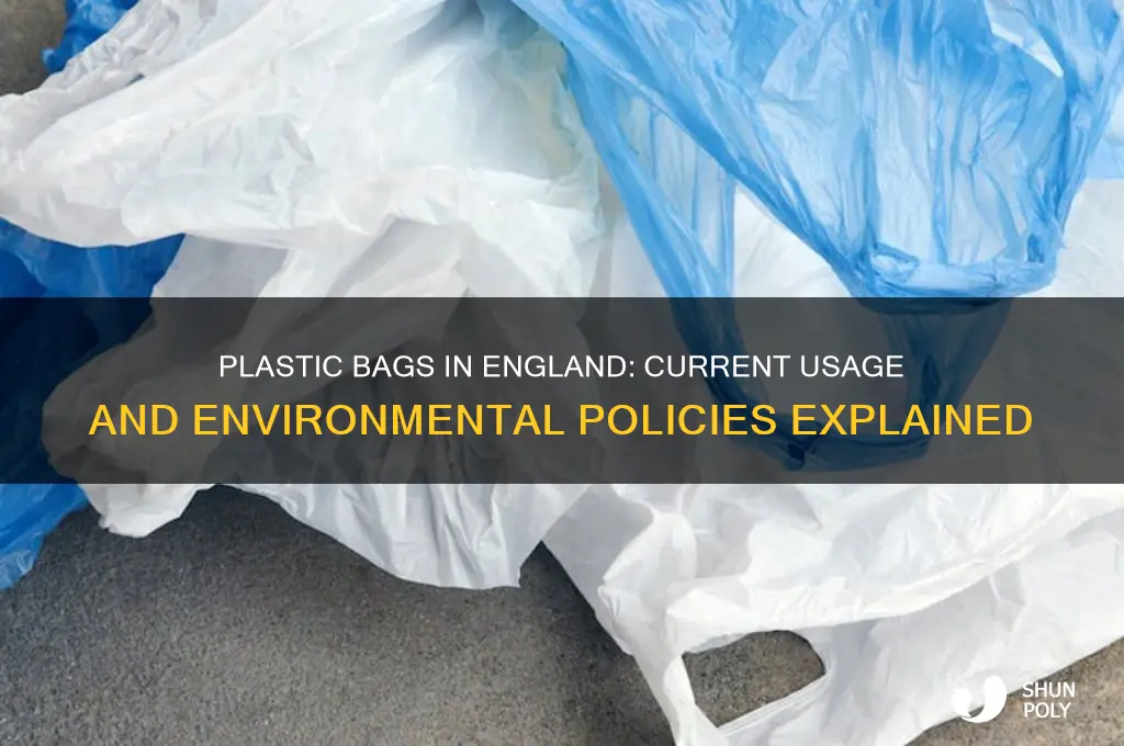 do they use plastic bags in england