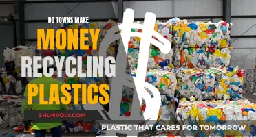 Profitable Plastic Recycling: How Towns Cash In on Waste