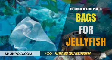 Turtles' Deadly Confusion: Mistaking Plastic Bags for Jellyfish