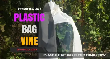 Drifting Like a Plastic Bag: Unraveling the Viral 'Do U Ever' Vine