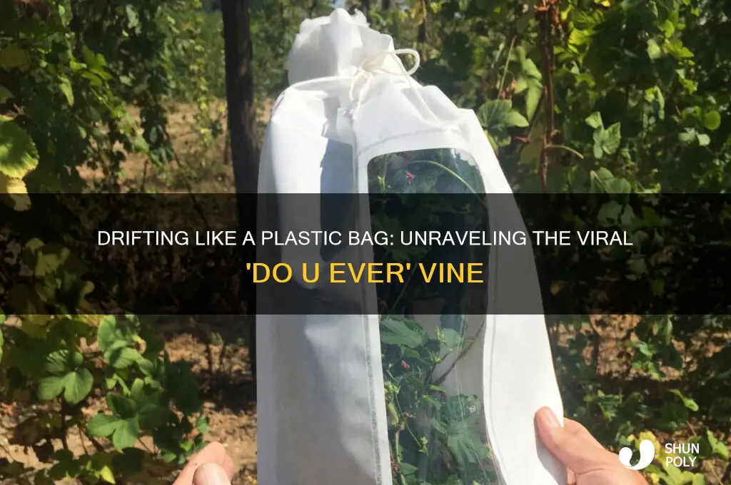 do u ever feel like a plastic bag vine