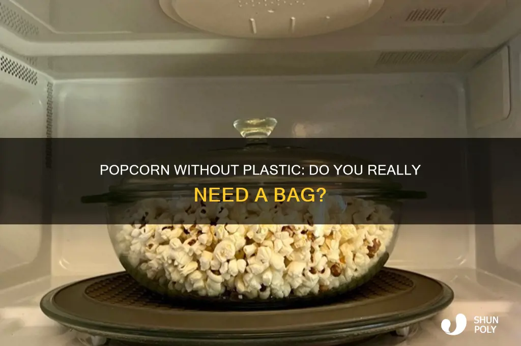 do u need a plastic bag to make popcorn