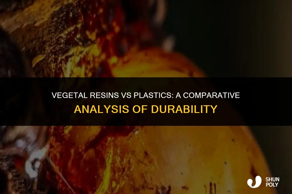 do vegetal resins last as long as plastics