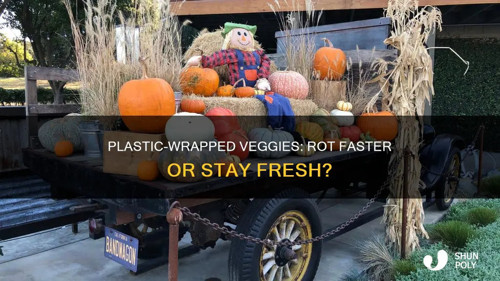 do veggies rot faster in plastic