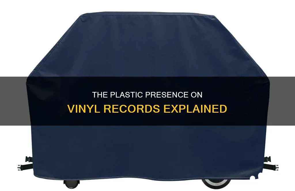 do vinyls have plastic on them