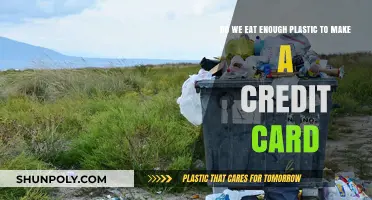 How Much Plastic Do We Consume? Credit Card Worth or More?