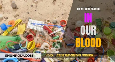 Plastic in Our Blood: Is It Possible?