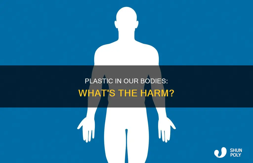 do we have plastic in our bodies