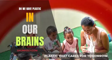 Plastic in our Brains: Is it a Reality?