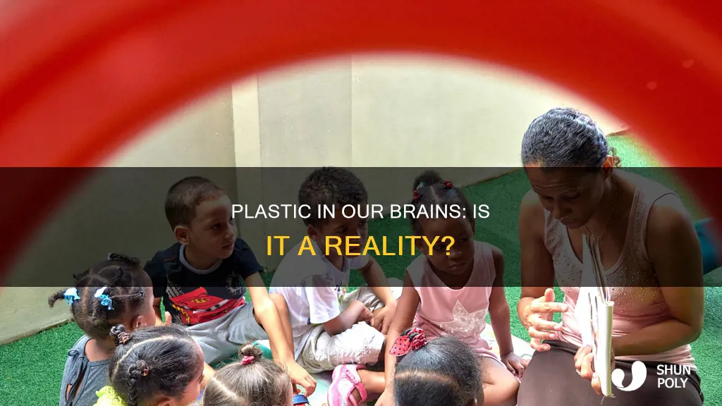 do we have plastic in our brains