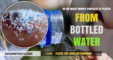 Plastic in Every Sip: Are We Consuming Microplastics from Bottled Water?