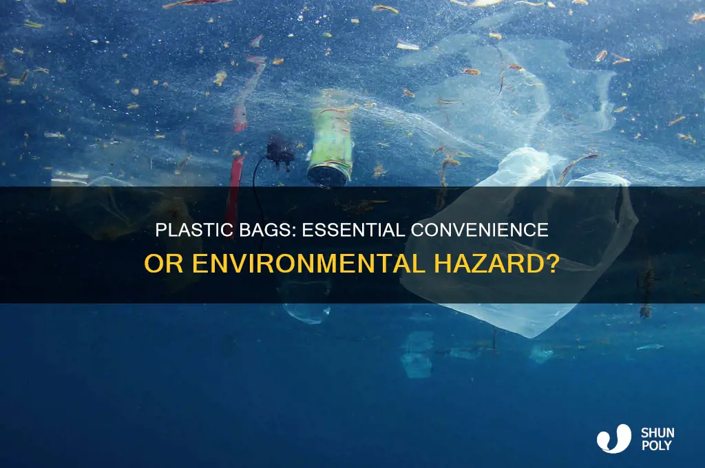 do we need plastic bags