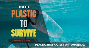 The Plastic Conundrum: Is Our Survival Dependent on It?
