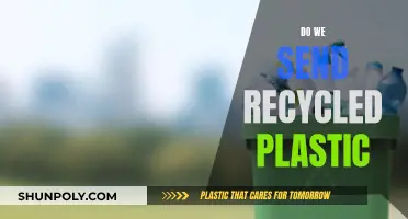 The Journey of Recycled Plastic: From Bin to Product